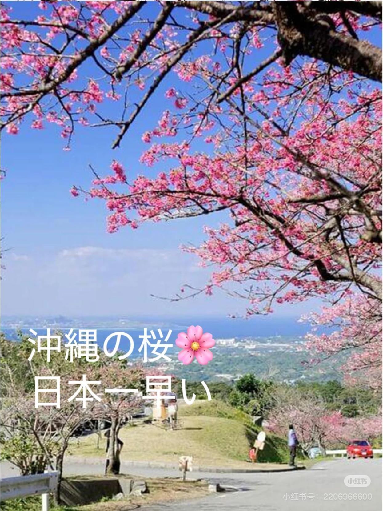 Yuihouse Villa Yabu  Buitenkant foto